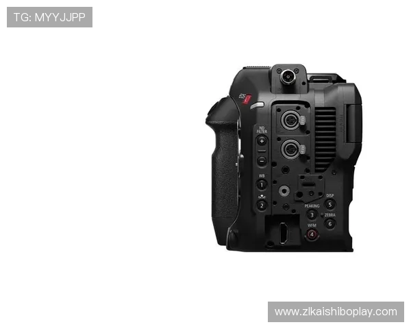 尊龙z6.com手机登录遇到问题怎么办详细步骤指导帮助玩家顺利解决登录难题 尊龙z6.com手机登录遇到问题怎么办详细步骤指导帮助玩家顺利解决登录难题